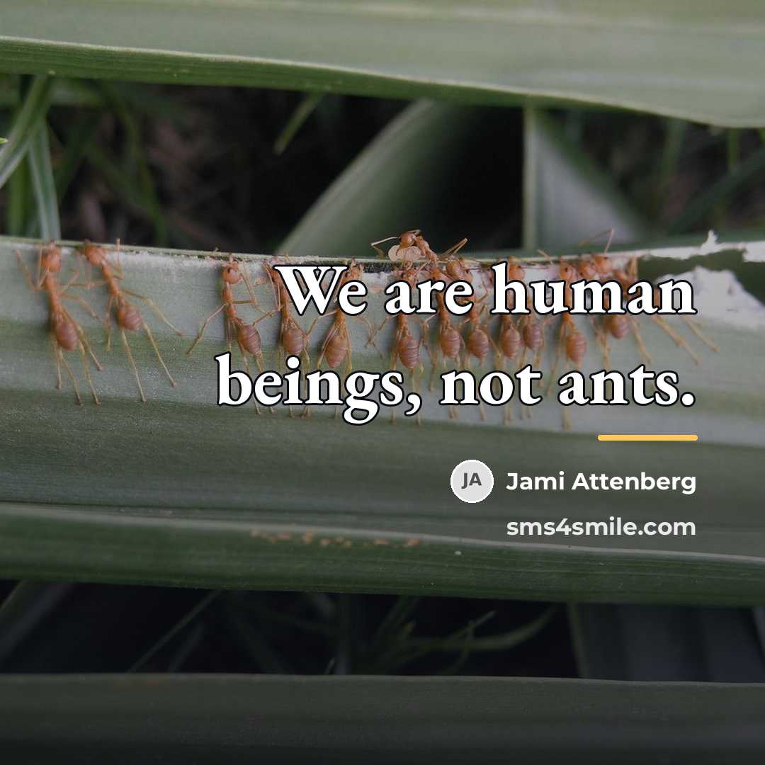 “We are human beings, not ants.…” quote by Jami Attenberg