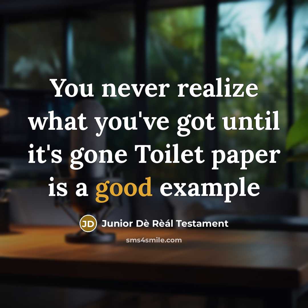 “You never realize what you've got until it's gone Toilet paper is a good example” quote by Junior Dè Rèál Testament