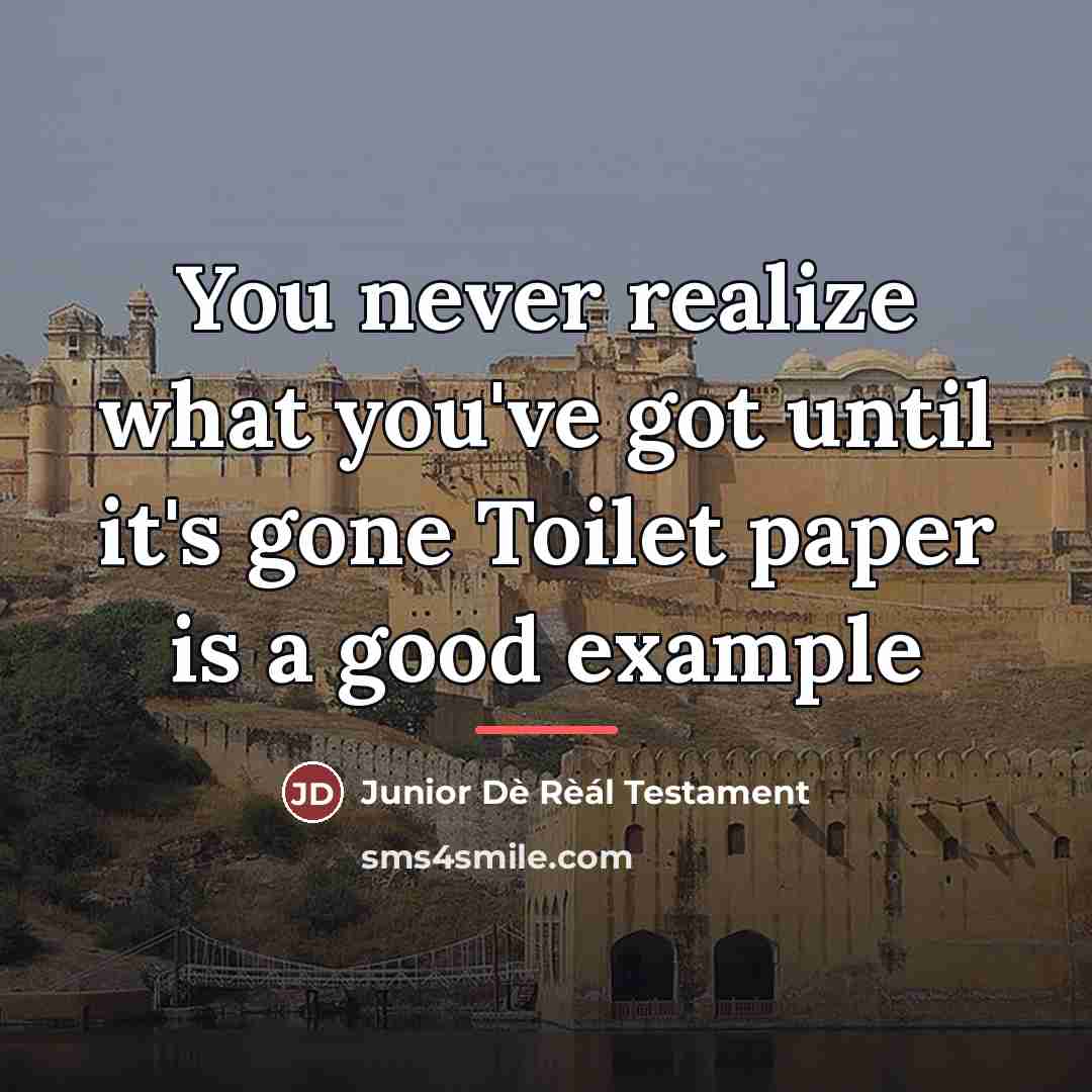 “You never realize what you've got until it's gone Toilet…” quote by Junior Dè Rèál Testament