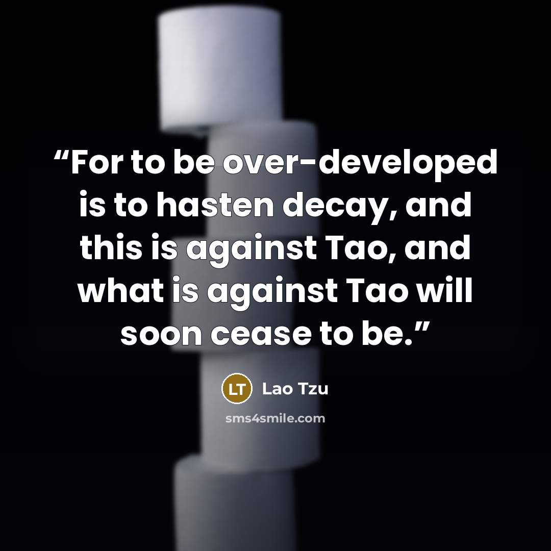 “For to be over-developed is to hasten decay, and this is against Tao, and what is against Tao will soon cease to be.” quote by Lao Tzu
