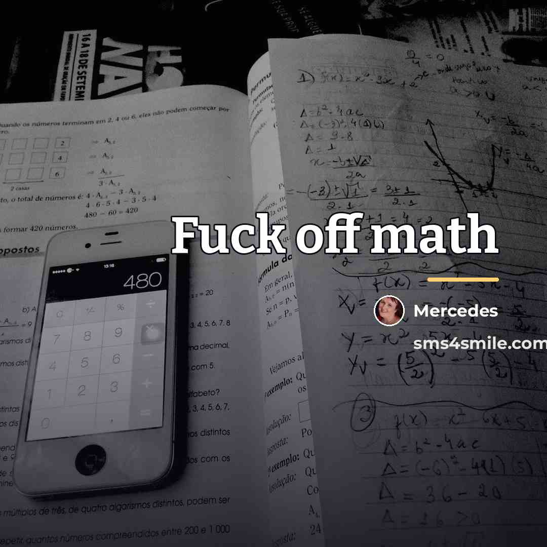“Fuck off math…” quote by Mercedes