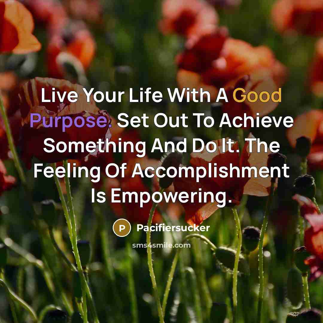 “Live Your Life With A Good Purpose. Set Out To…” quote by Pacifiersucker