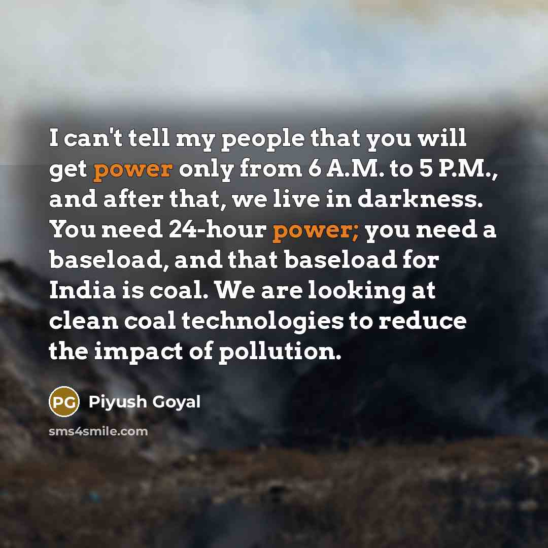 “I can't tell my people that you will get power…” quote by Piyush Goyal