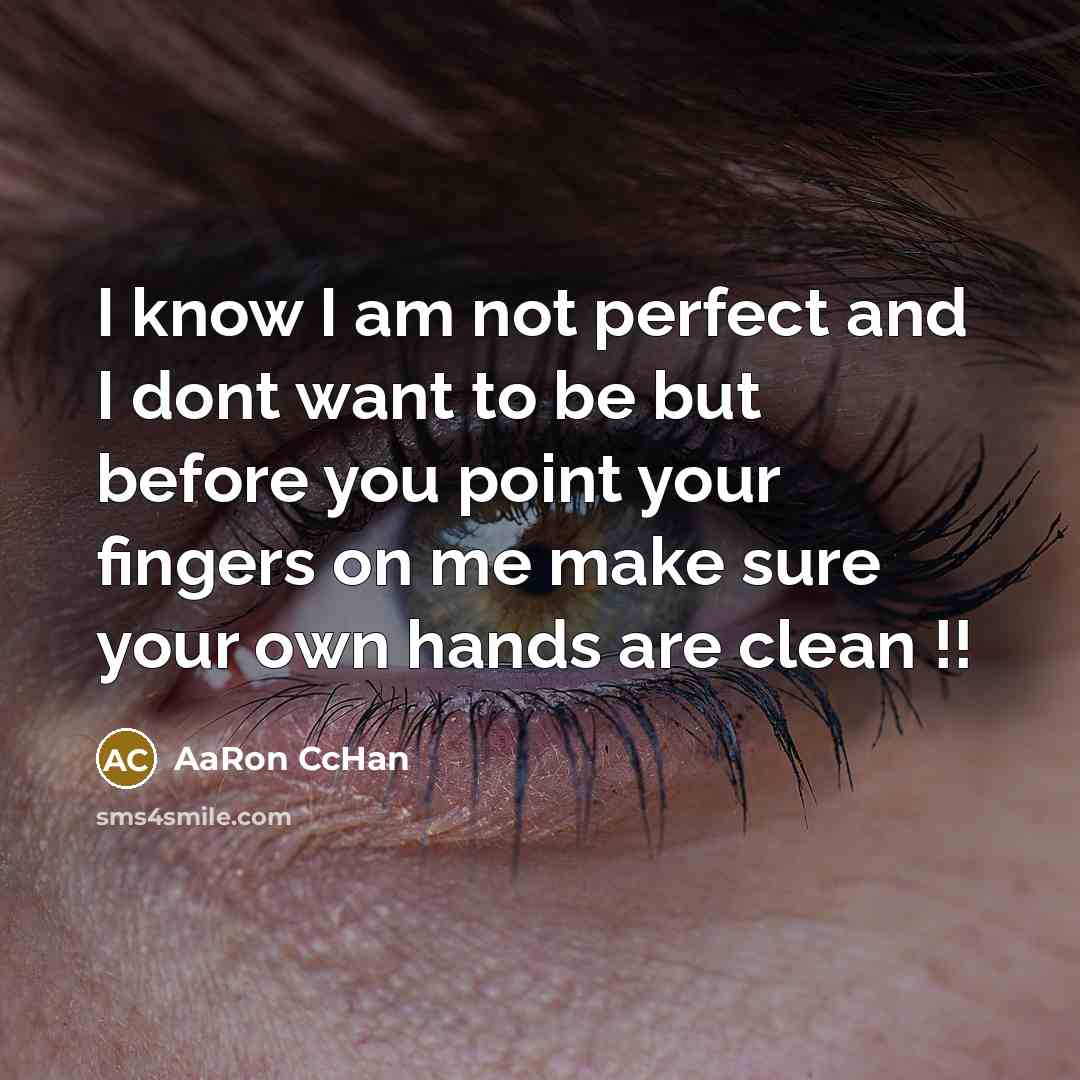 “I know I am not perfect and I dont want…” quote by AaRon CcHan