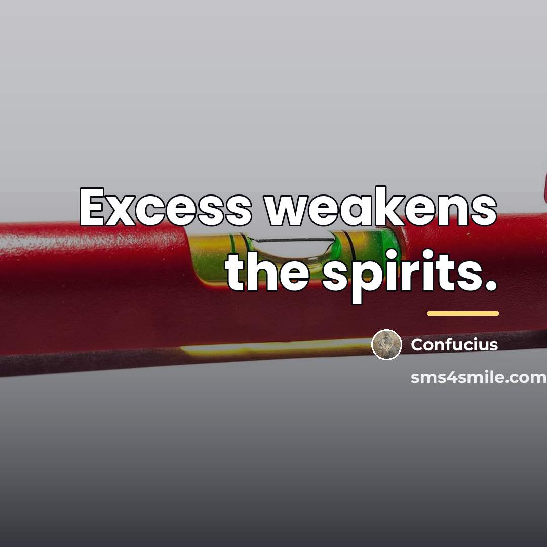 “Excess weakens the spirits.…” quote by Confucius