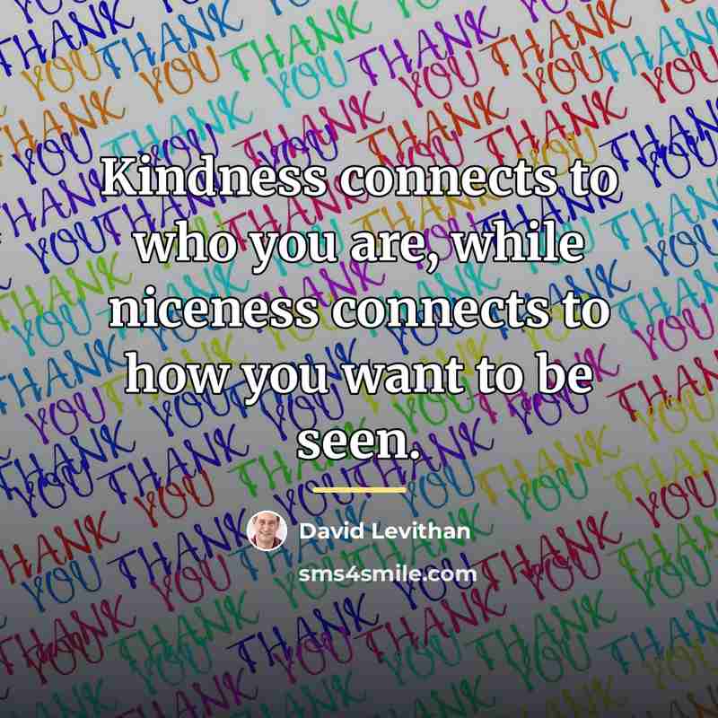 “Kindness connects to who you are, while niceness connects to…” quote by David Levithan