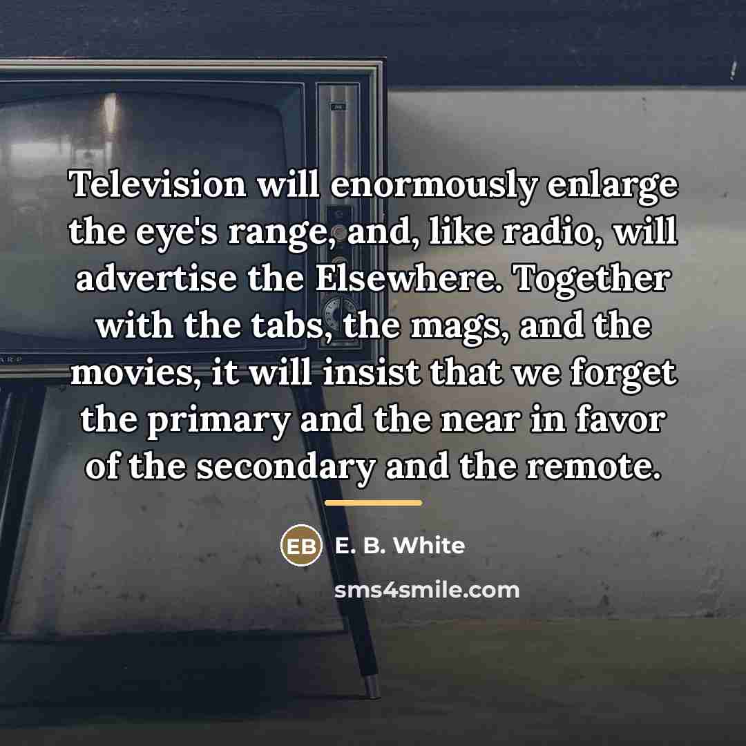 “Television will enormously enlarge the eye's range, and, like radio,…” quote by E. B. White