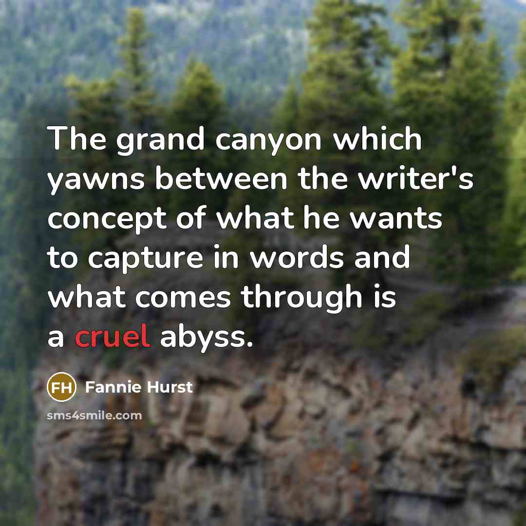 “The grand canyon which yawns between the writer's concept of…” quote by Fannie Hurst
