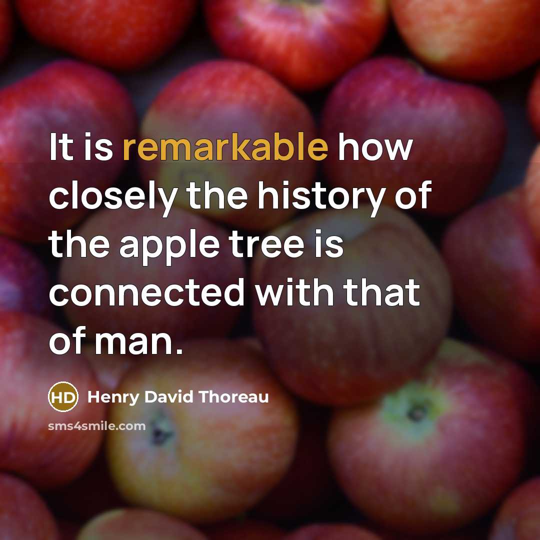 “It is remarkable how closely the history of the apple…” quote by Henry David Thoreau