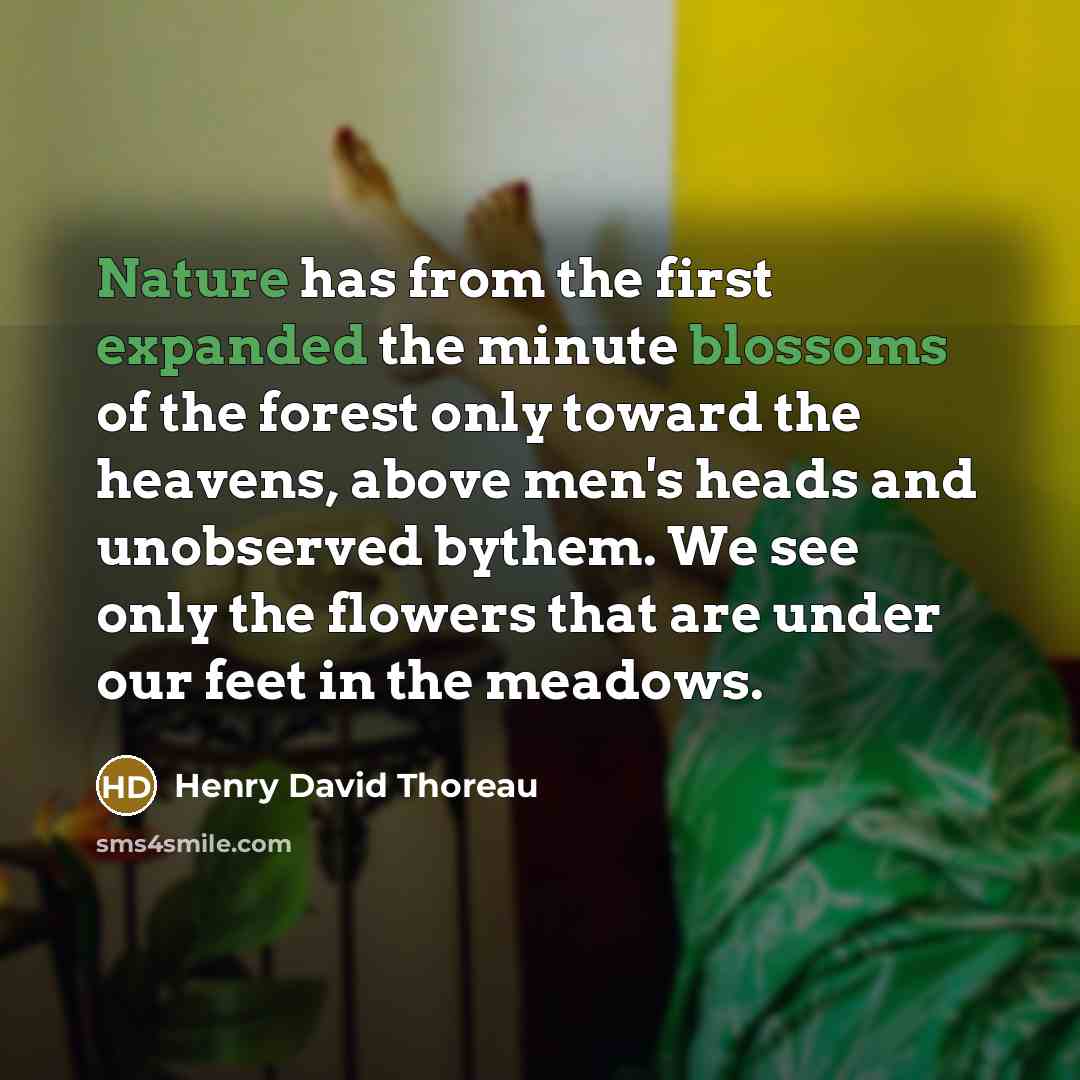“Nature has from the first expanded the minute blossoms of the forest only toward the heavens, above men's heads and unobserved bythem. We see only the flowers that are under our feet in the meadows.” quote by Henry David Thoreau