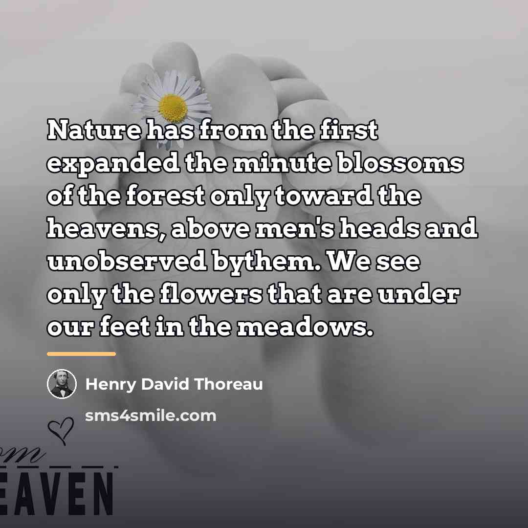 “Nature has from the first expanded the minute blossoms of…” quote by Henry David Thoreau
