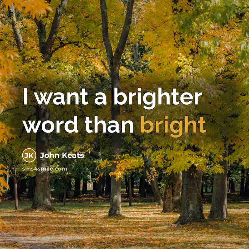 “I want a brighter word than bright…” quote by John Keats