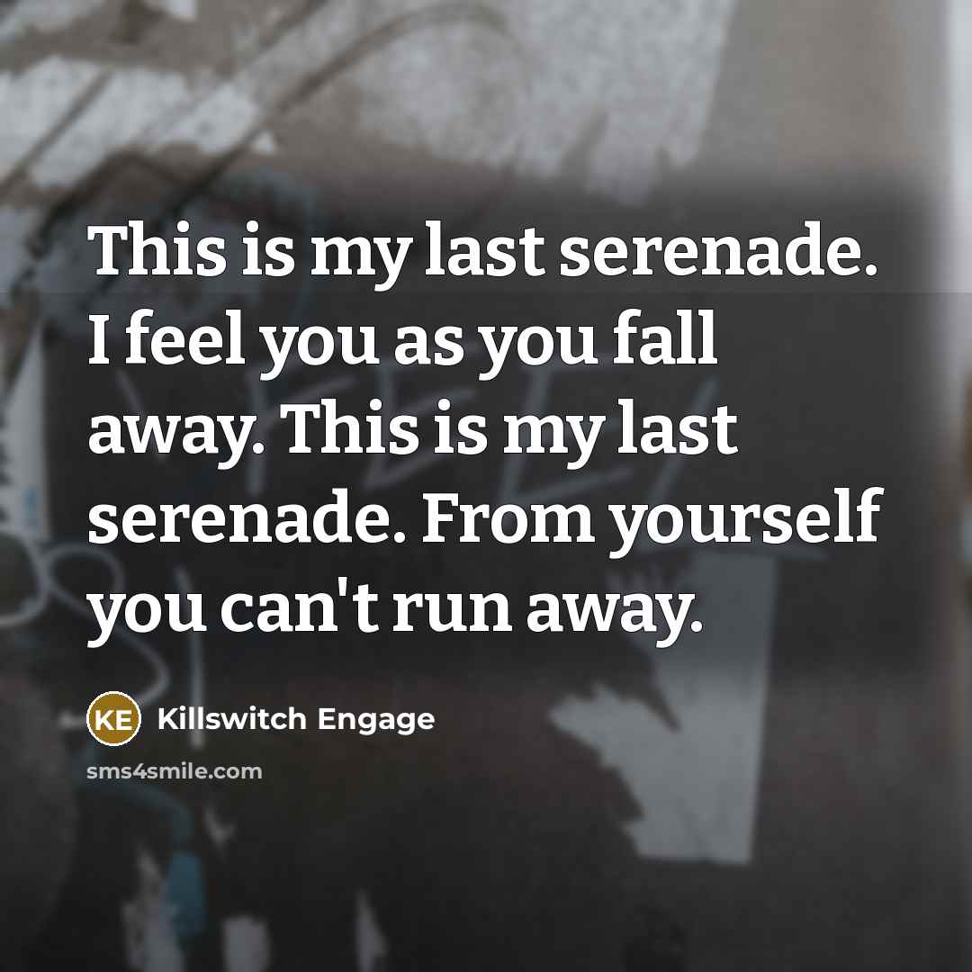 “This is my last serenade. I feel you as you…” quote by Killswitch Engage
