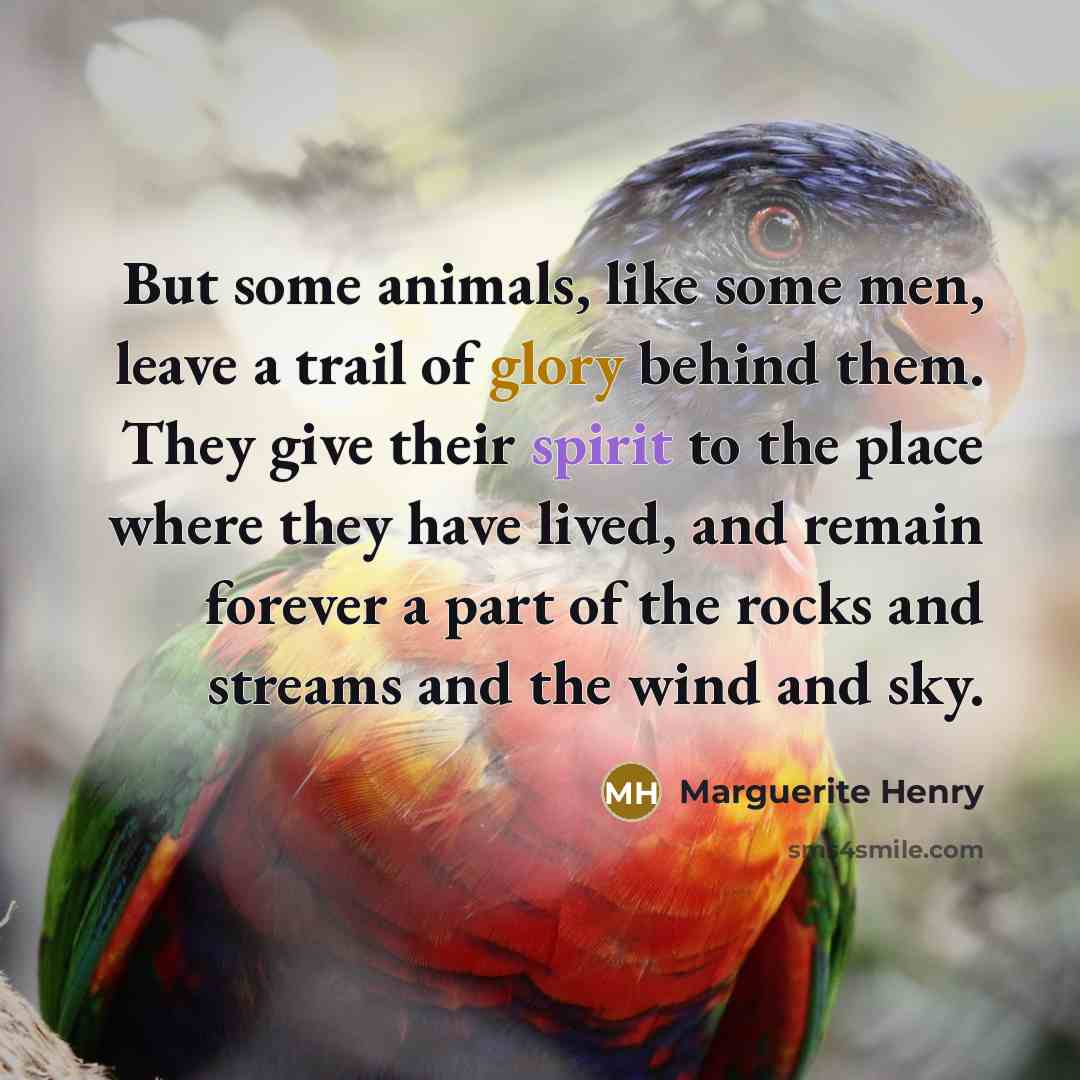 “But some animals, like some men, leave a trail of…” quote by Marguerite Henry