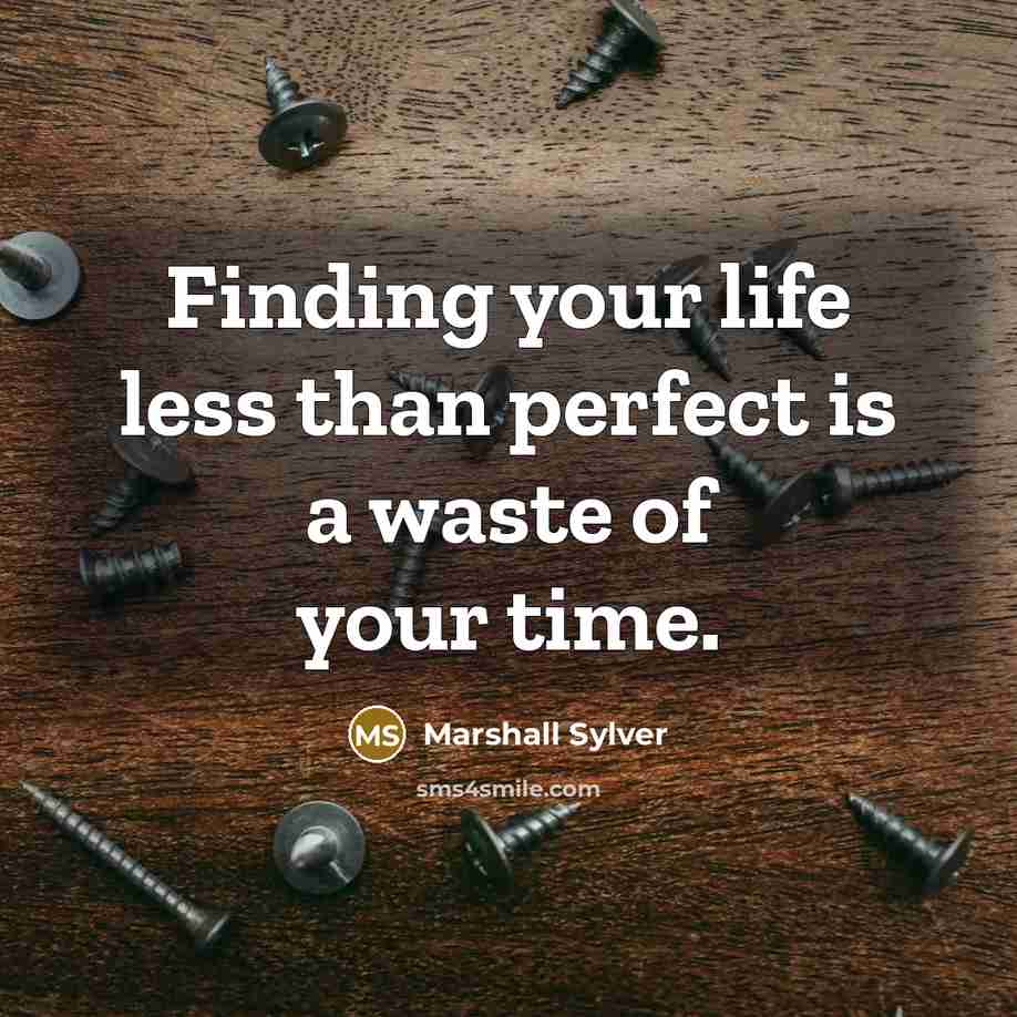 “Finding your life less than perfect is a waste of…” quote by Marshall Sylver