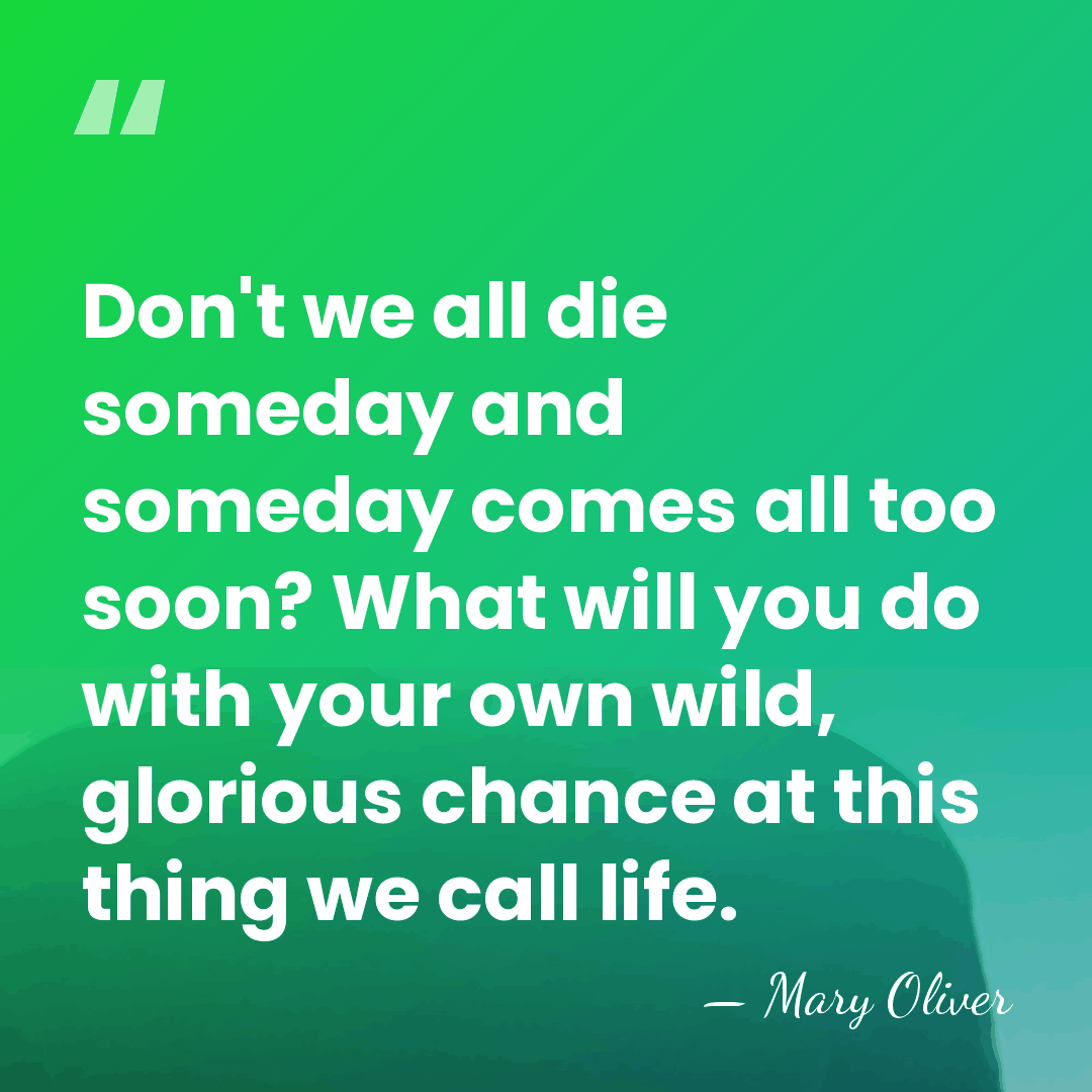 Don't we all die someday and someday comes all too soon? What&hellip; - Mary Oliver