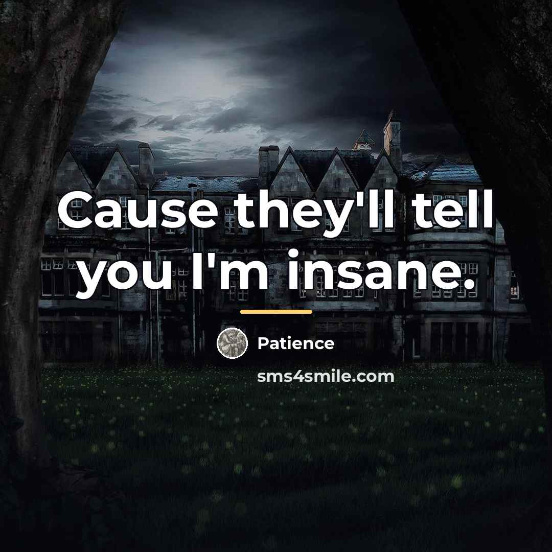 “Cause they'll tell you I'm insane.…” quote by Patience