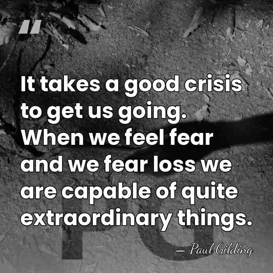 It takes a good crisis to get us going. When we feel&hellip; - Paul Gilding