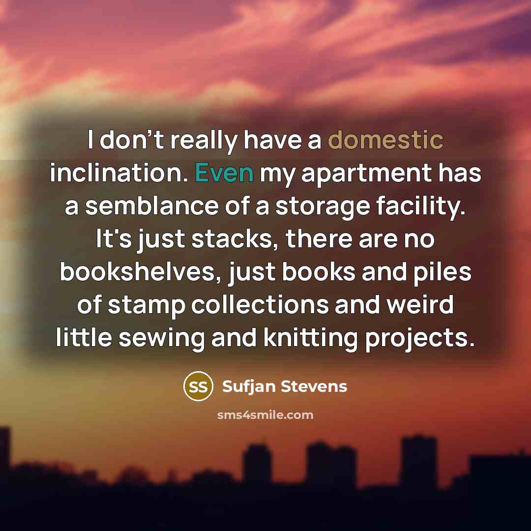 “I don't really have a domestic inclination. Even my apartment…” quote by Sufjan Stevens
