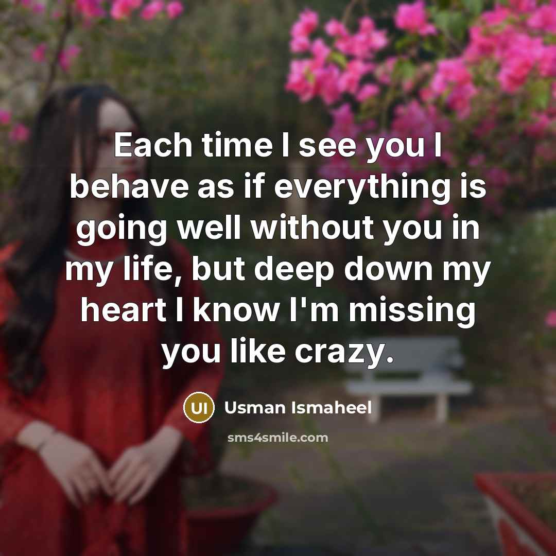“Each time I see you I behave as if everything…” quote by Usman Ismaheel