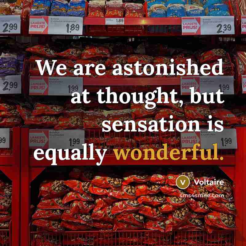 “We are astonished at thought, but sensation is equally wonderful.…” quote by Voltaire