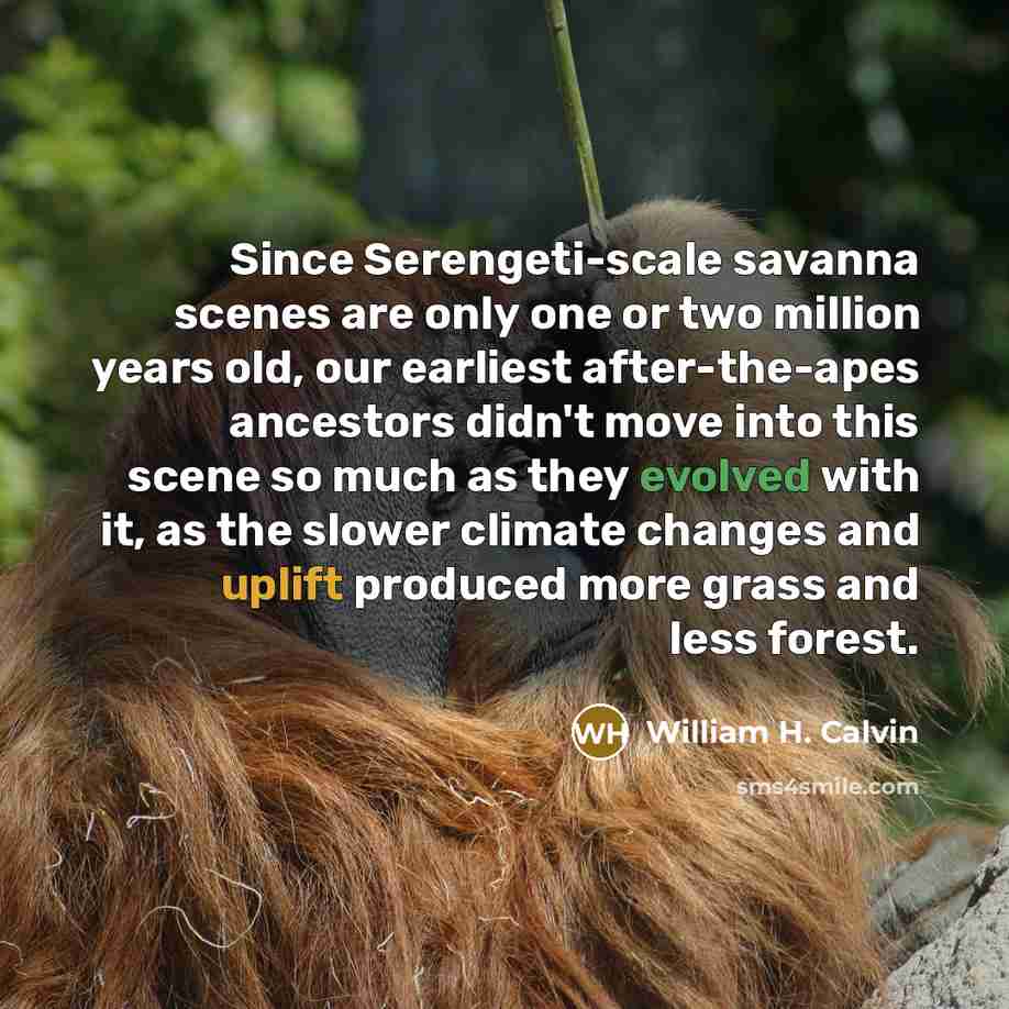 “Since Serengeti-scale savanna scenes are only one or two million…” quote by William H. Calvin