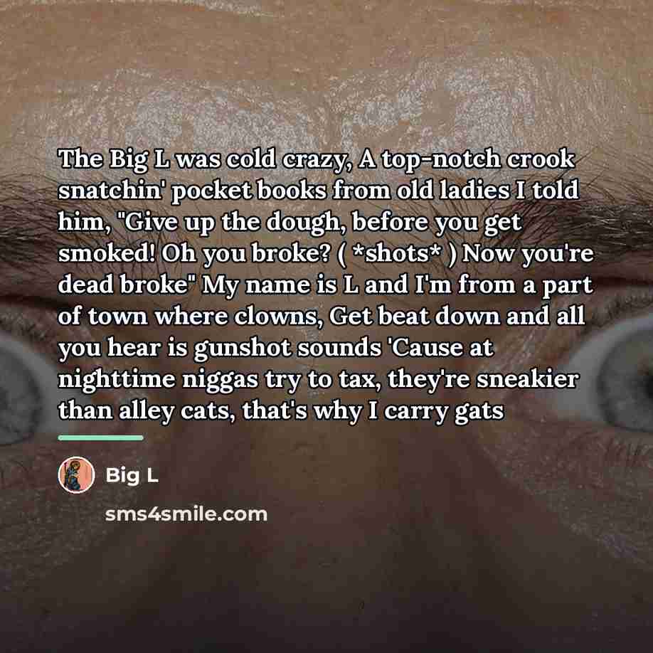 “The Big L was cold crazy, A top-notch crook snatchin'…” quote by Big L
