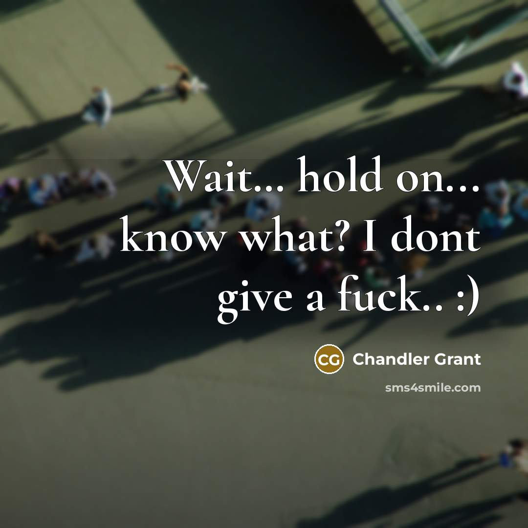 “Wait… hold on... know what? I dont give a fuck.. :)” quote by Chandler Grant