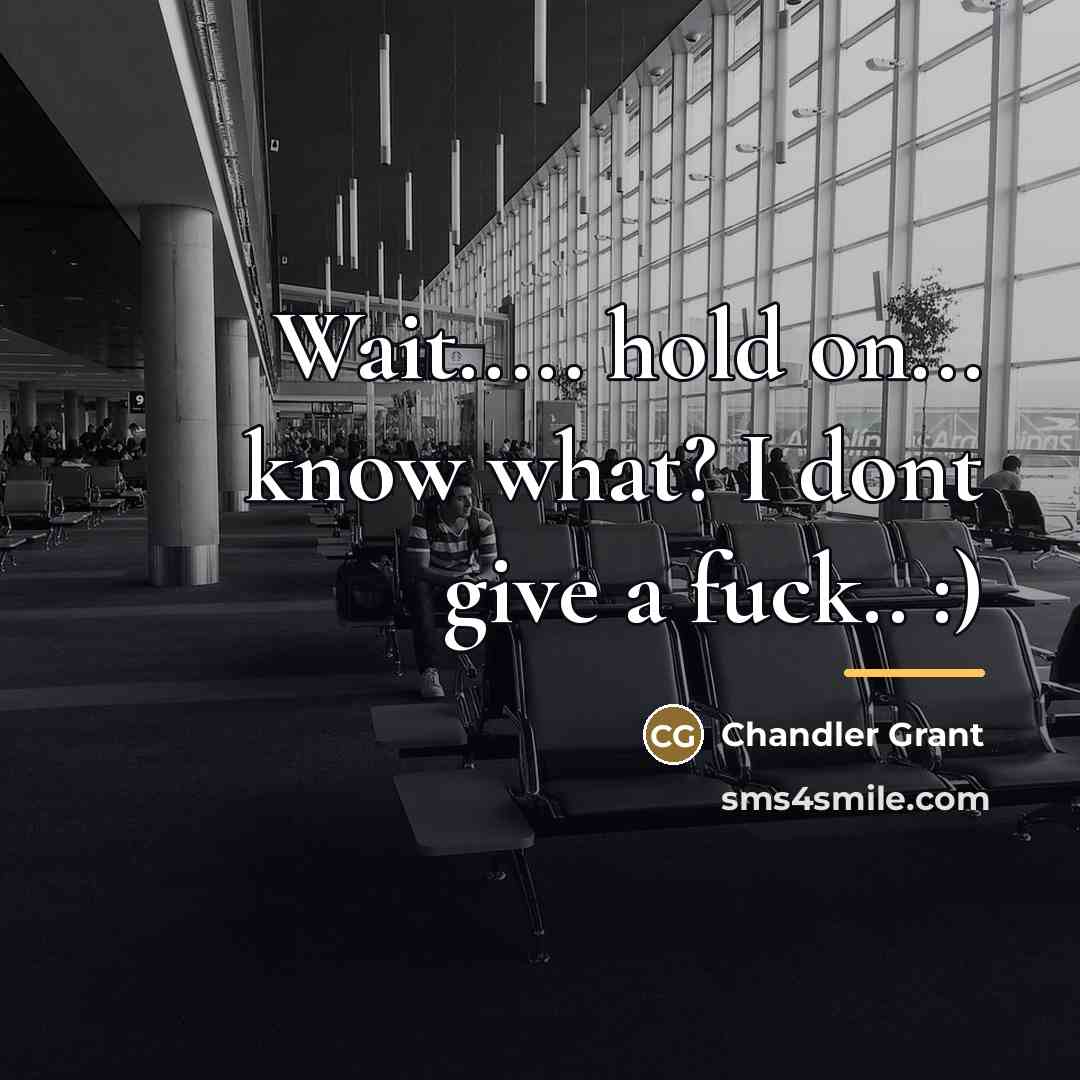 “Wait..... hold on... know what? I dont give a fuck..…” quote by Chandler Grant