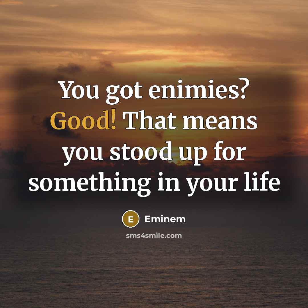 “You got enimies? Good! That means you stood up for…” quote by Eminem