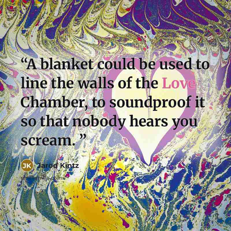 “A blanket could be used to line the walls of the Love Chamber, to soundproof it so that nobody hears you scream.” quote by Jarod Kintz