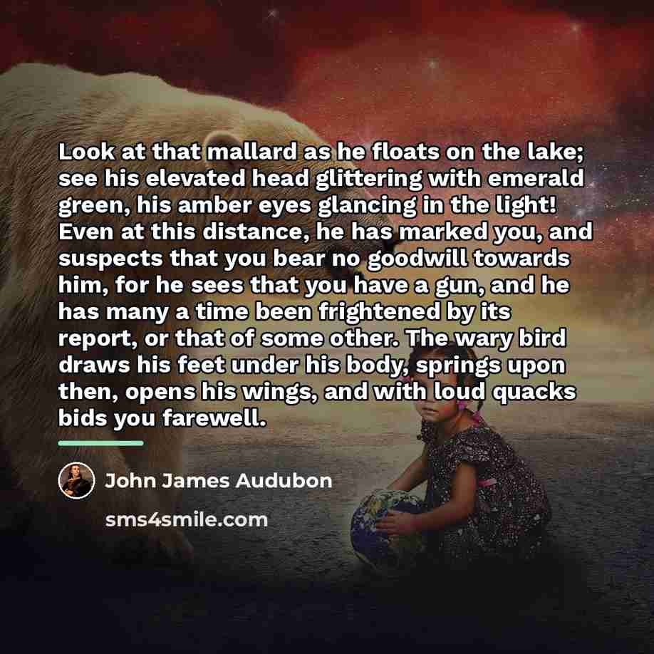 “Look at that mallard as he floats on the lake;…” quote by John James Audubon