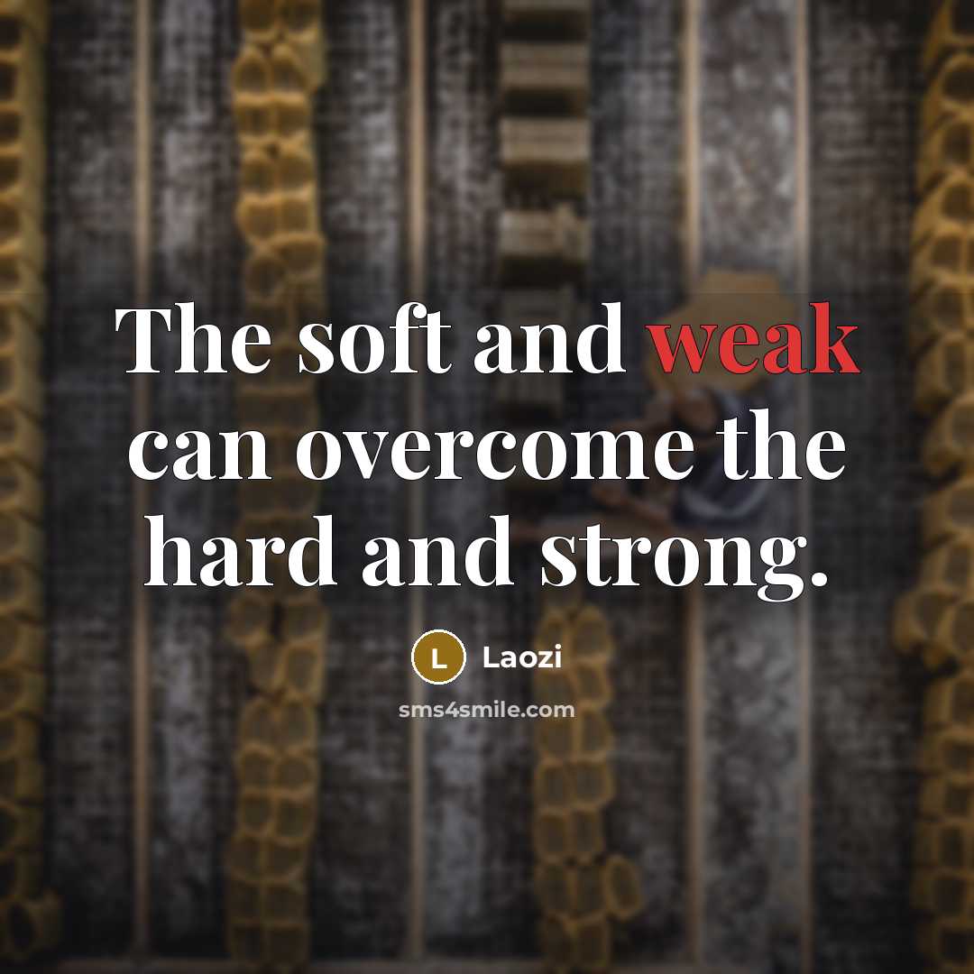 “The soft and weak can overcome the hard and strong.…” quote by Laozi