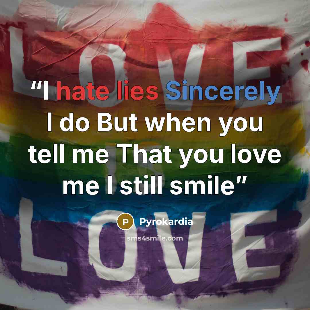 “I hate lies Sincerely I do But when you tell me That you love me I still smile” quote by Pyrokardia