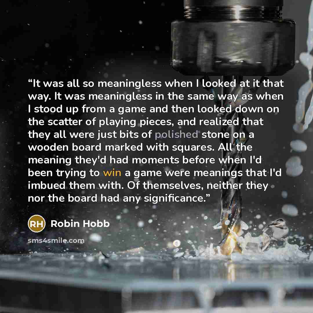 “It was all so meaningless when I looked at it that way. It was meaningless in the same way as when I stood up from a game and then looked down on the scatter of playing pieces, and realized that they all were just bits of polished stone on a wooden board marked with squares. All the meaning they'd…” quote by Robin Hobb