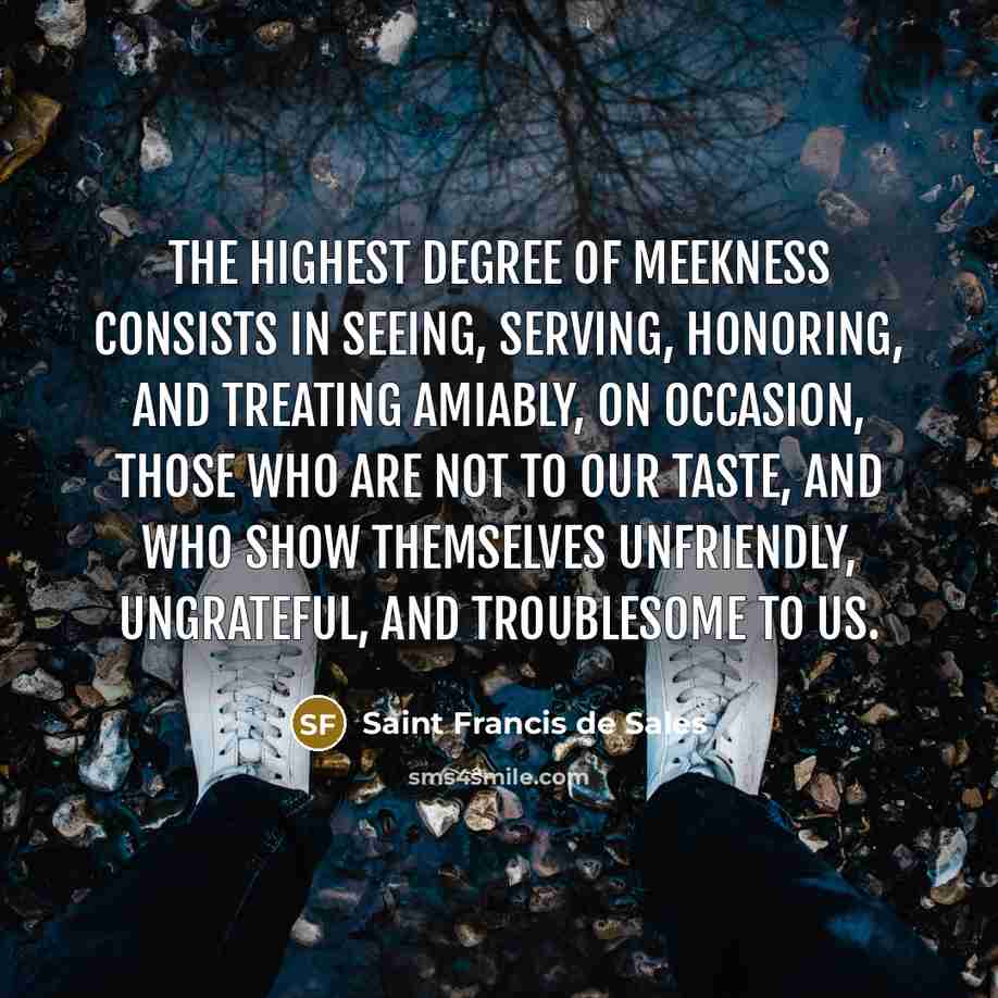 “The highest degree of meekness consists in seeing, serving, honoring,…” quote by Saint Francis de Sales