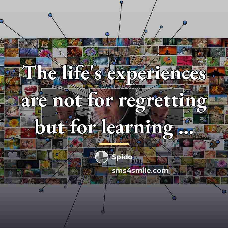 “The life's experiences are not for regretting but for learning…” quote by Spido