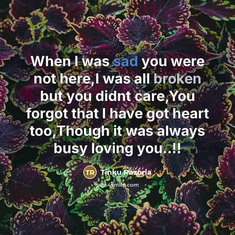 “When I was sad you were not here,I was all broken but you didnt care,You forgot that I have got heart too,Though it was always busy loving you..!!” quote by Tinku Razoria