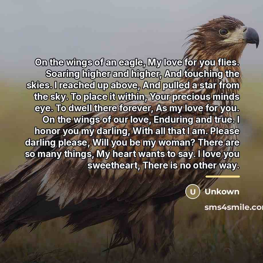 “On the wings of an eagle, My love for you…” quote by Unkown