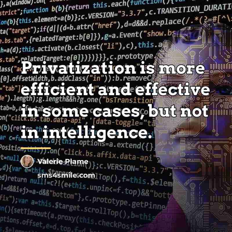 “Privatization is more efficient and effective in some cases, but…” quote by Valerie Plame