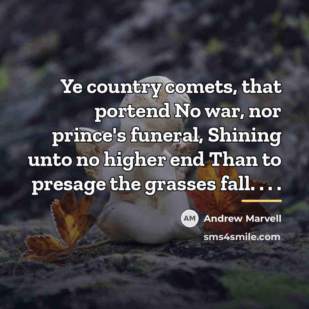 “Ye country comets, that portend No war, nor prince's funeral,…” quote by Andrew Marvell