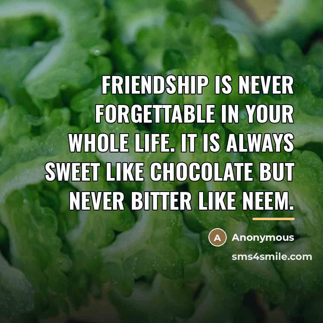 “Friendship is never forgettable in your whole life. It is…” quote by Anonymous
