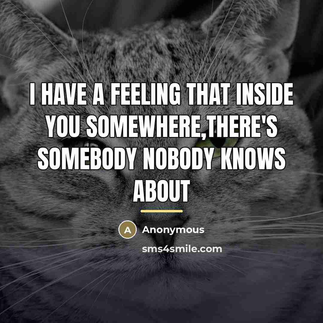 “I have a feeling that inside you somewhere,there's somebody nobody…” quote by Anonymous