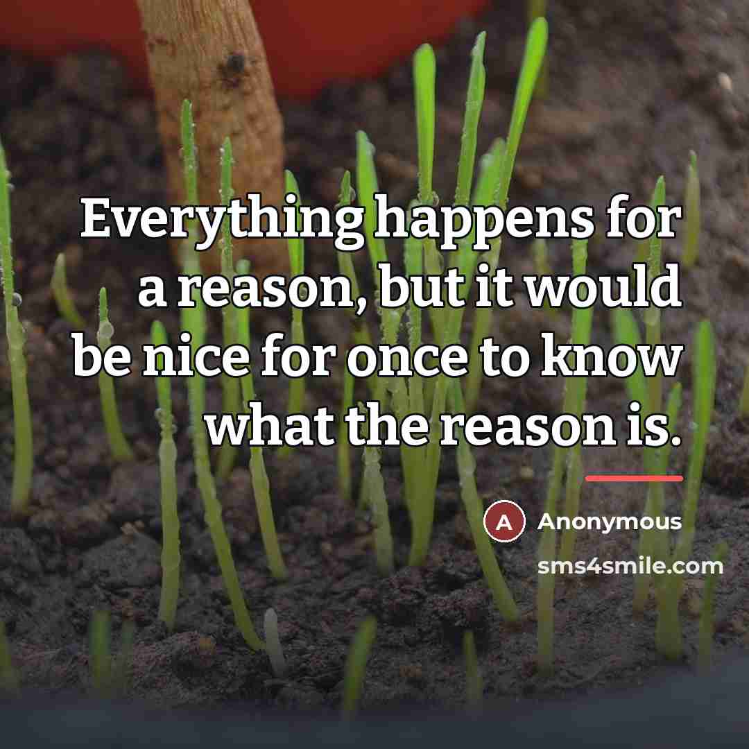 “Everything happens for a reason, but it would be nice…” quote by Anonymous