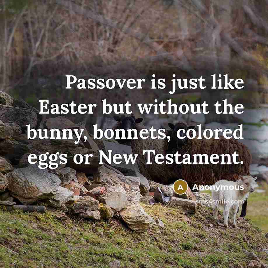 “Passover is just like Easter but without the bunny, bonnets, colored eggs or New Testament.” quote by Anonymous