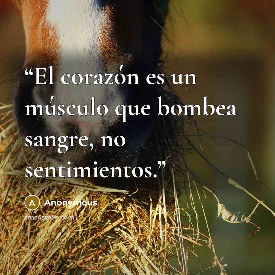 “El corazón es un músculo que bombea sangre, no sentimientos.” quote by Anonymous