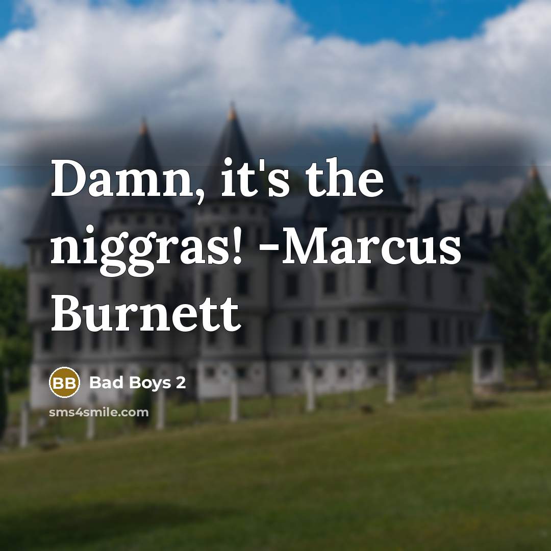 “Damn, it's the niggras! -Marcus Burnett” quote by Bad Boys 2