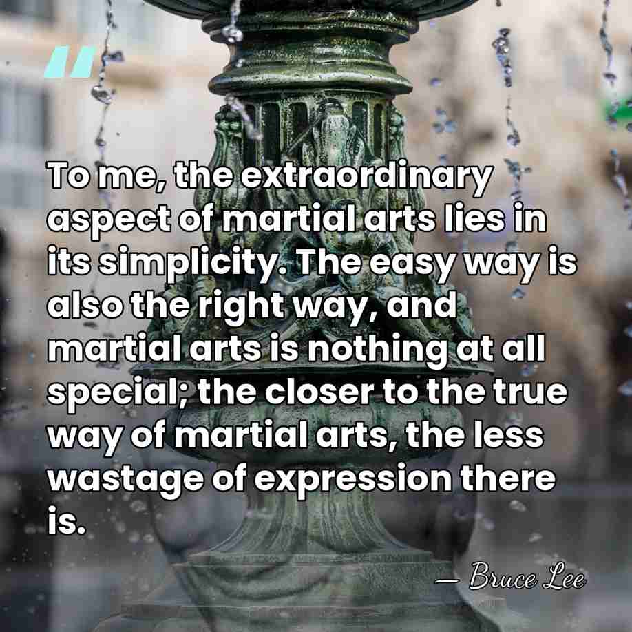 To me, the extraordinary aspect of martial arts lies in its simplicity.&hellip; - Bruce Lee