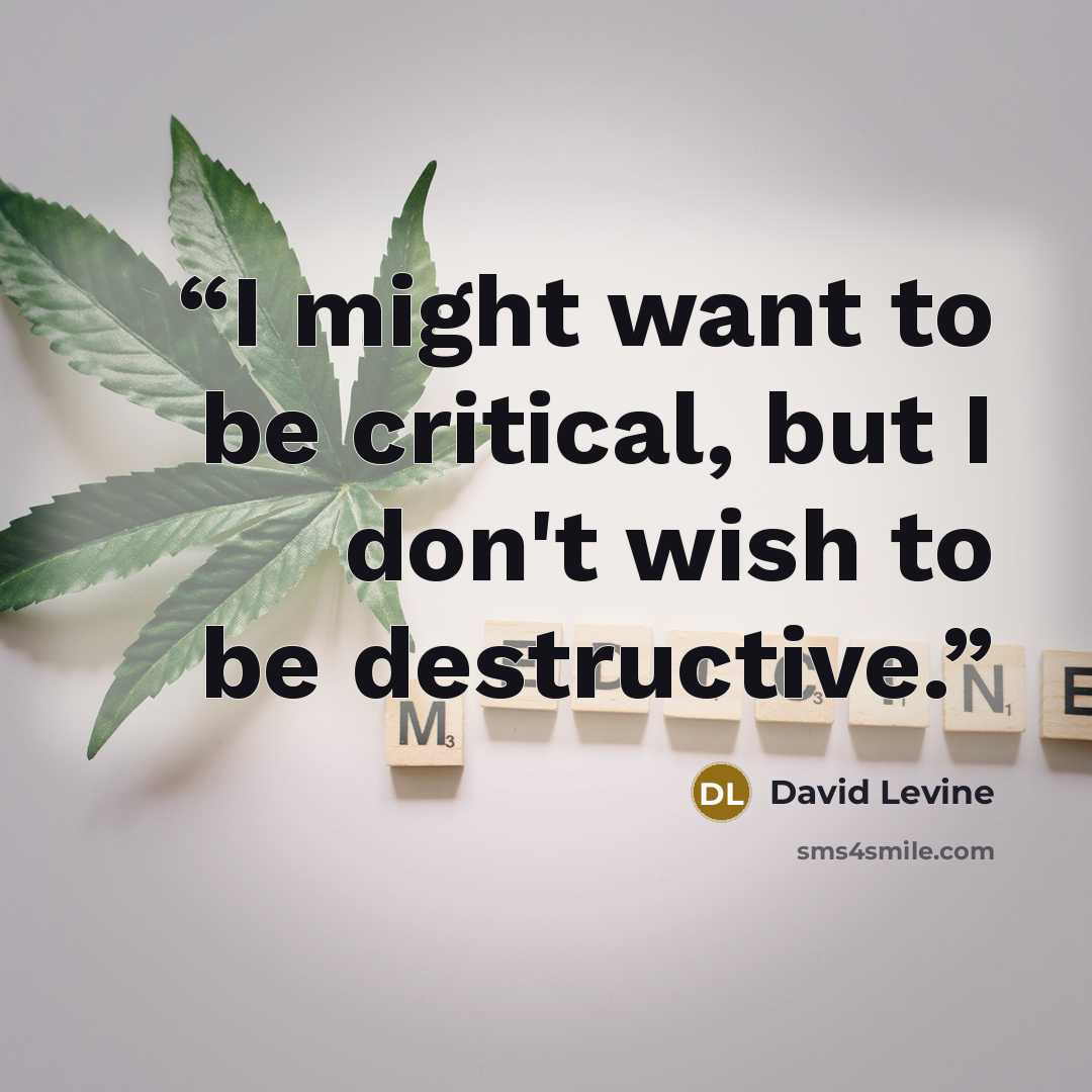 “I might want to be critical, but I don't wish to be destructive.” quote by David Levine