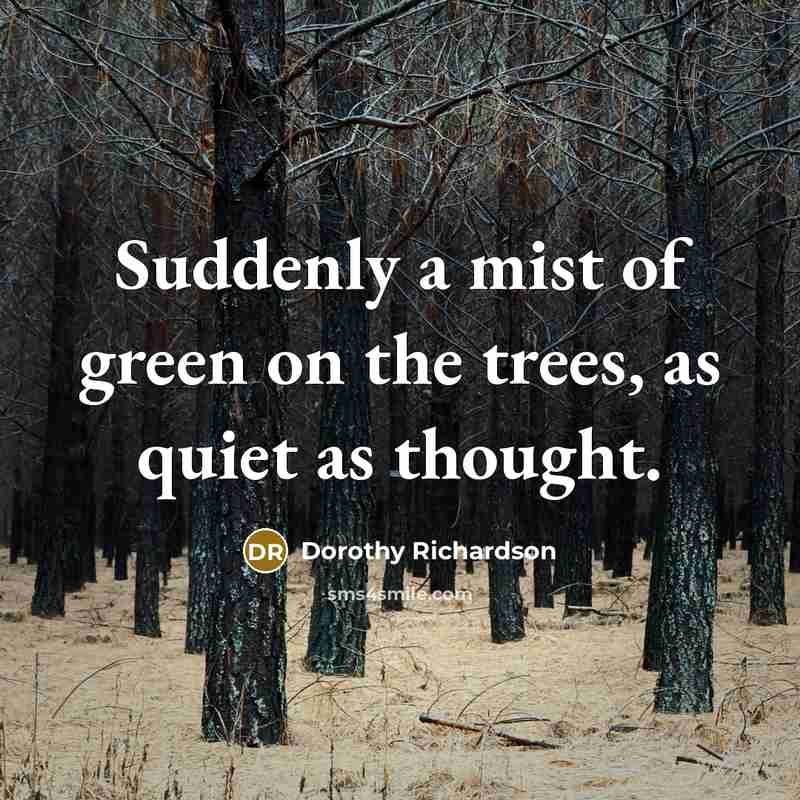 “Suddenly a mist of green on the trees, as quiet…” quote by Dorothy Richardson
